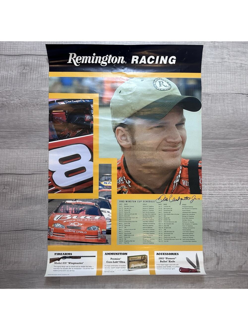 Dale Earnhardt Jr. Poster Winston Cup 2003 Schedule Nascar Remingon Racing RARE